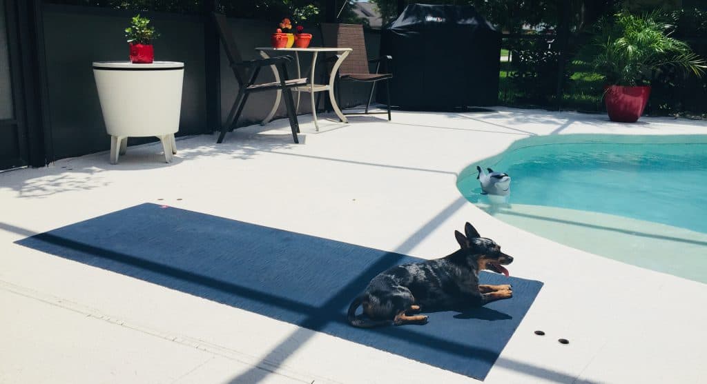 Porch Yoga