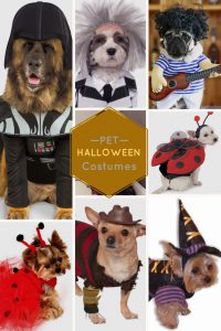 Dog Halloween Costumes