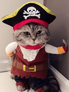 Cat Halloween Costume